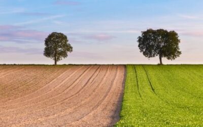 Brown-field, Green-field e … Blue-field