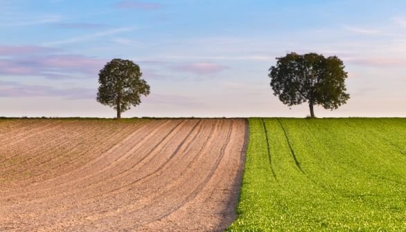 Brown-field, Green-field e … Blue-field