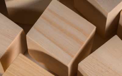 I sistemi ERP e i processi di business